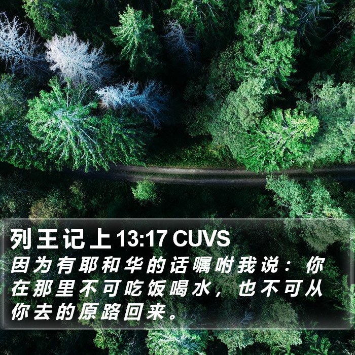 列 王 记 上 13:17 CUVS Bible Study