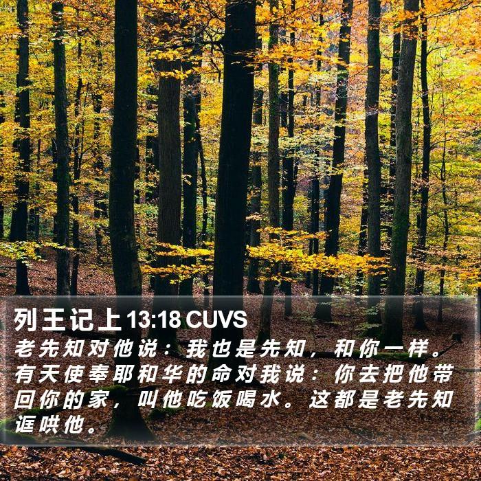 列 王 记 上 13:18 CUVS Bible Study