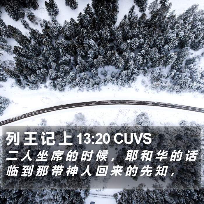 列 王 记 上 13:20 CUVS Bible Study