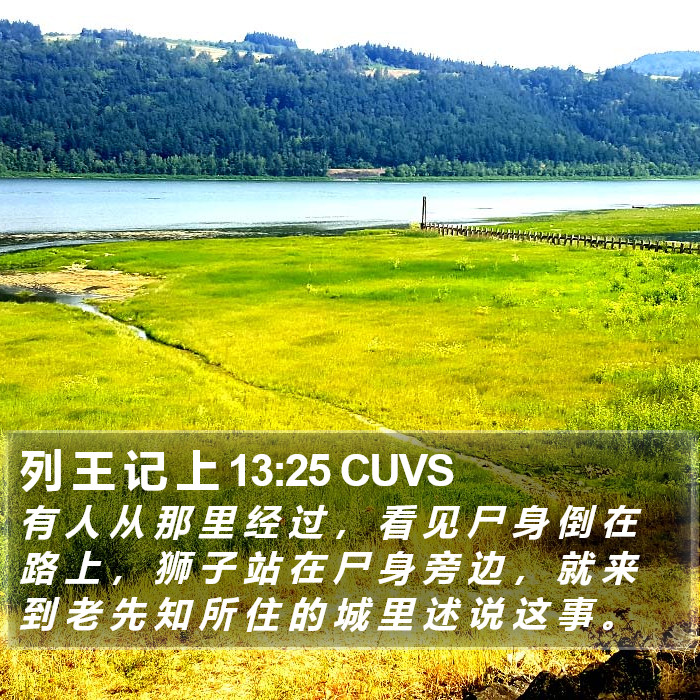 列 王 记 上 13:25 CUVS Bible Study