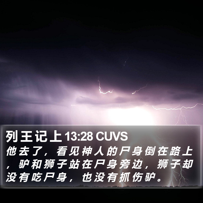 列 王 记 上 13:28 CUVS Bible Study