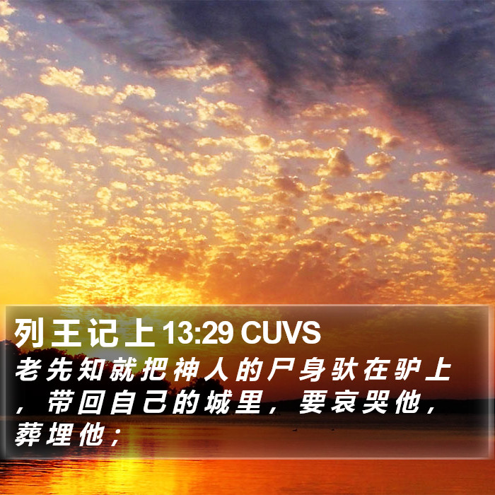 列 王 记 上 13:29 CUVS Bible Study