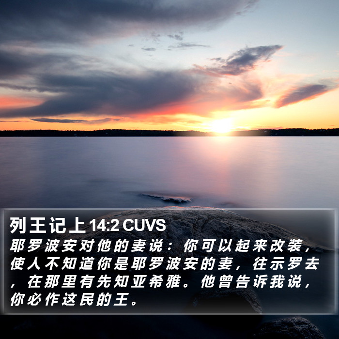列 王 记 上 14:2 CUVS Bible Study