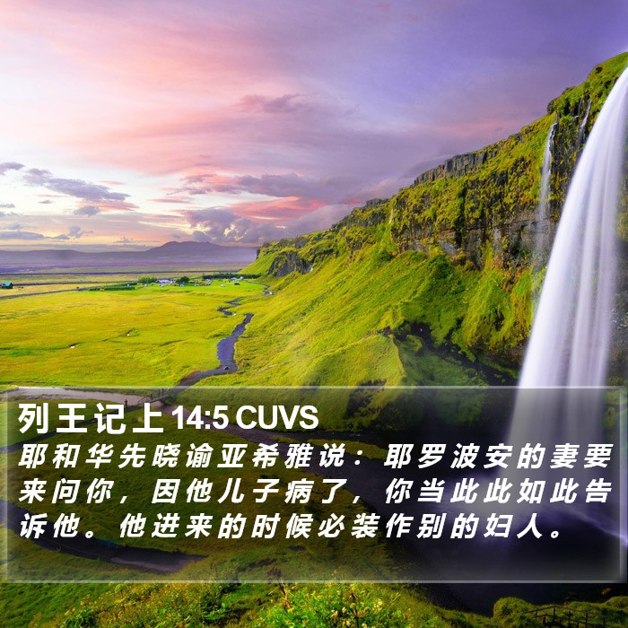 列 王 记 上 14:5 CUVS Bible Study