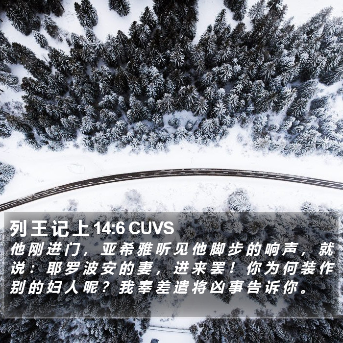 列 王 记 上 14:6 CUVS Bible Study