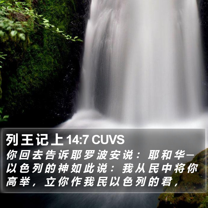 列 王 记 上 14:7 CUVS Bible Study