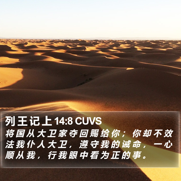 列 王 记 上 14:8 CUVS Bible Study