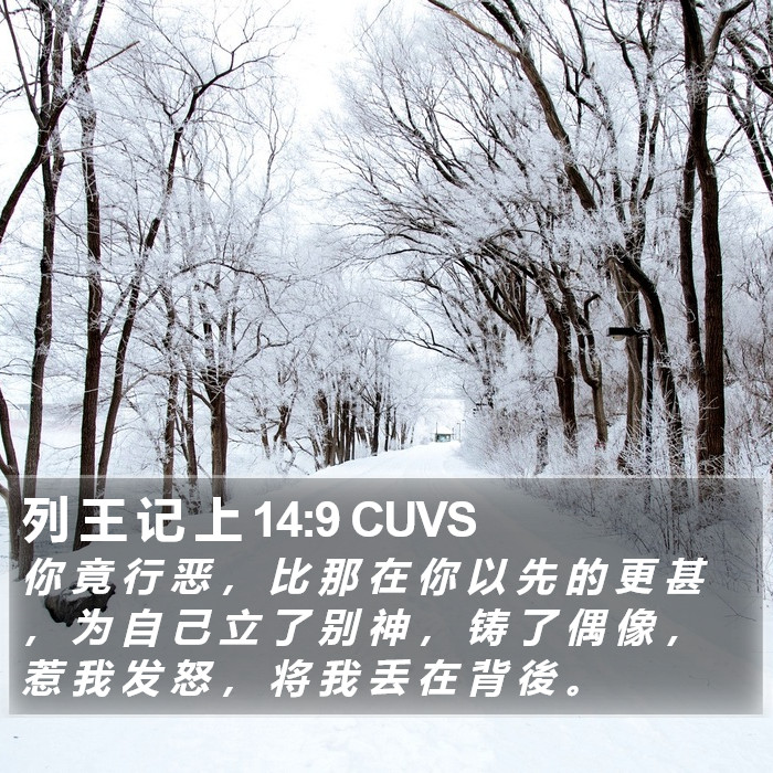列 王 记 上 14:9 CUVS Bible Study