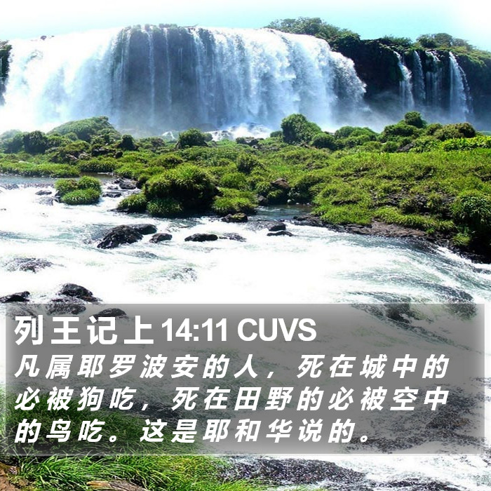 列 王 记 上 14:11 CUVS Bible Study