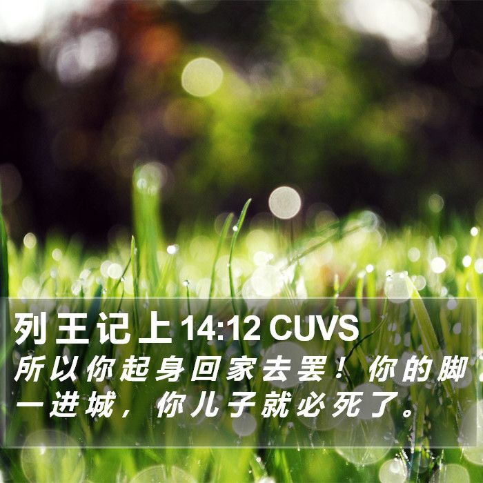 列 王 记 上 14:12 CUVS Bible Study