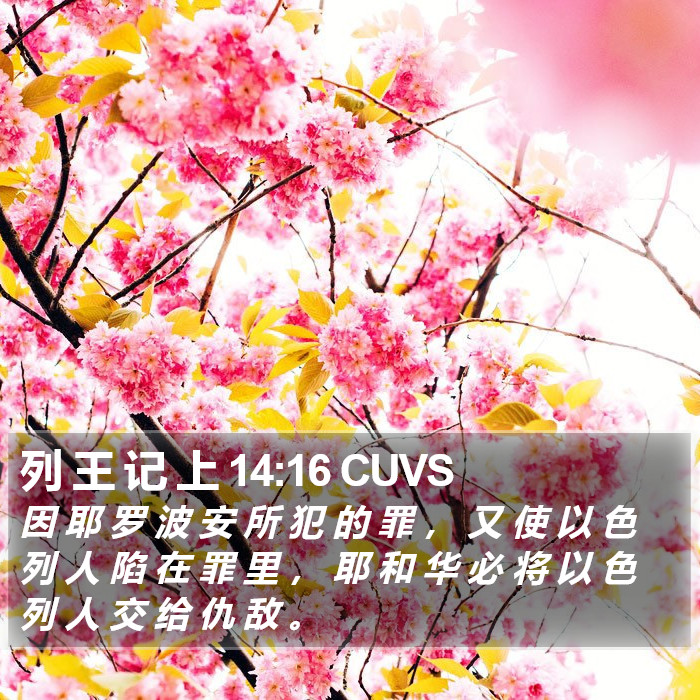 列 王 记 上 14:16 CUVS Bible Study