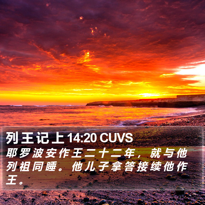 列 王 记 上 14:20 CUVS Bible Study