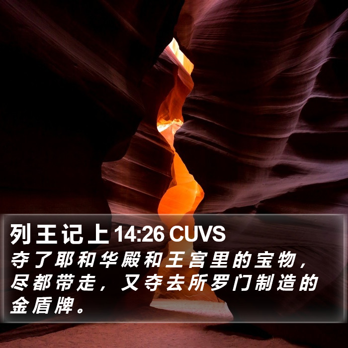 列 王 记 上 14:26 CUVS Bible Study