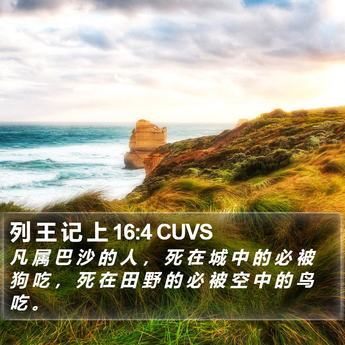 列 王 记 上 16:4 CUVS Bible Study