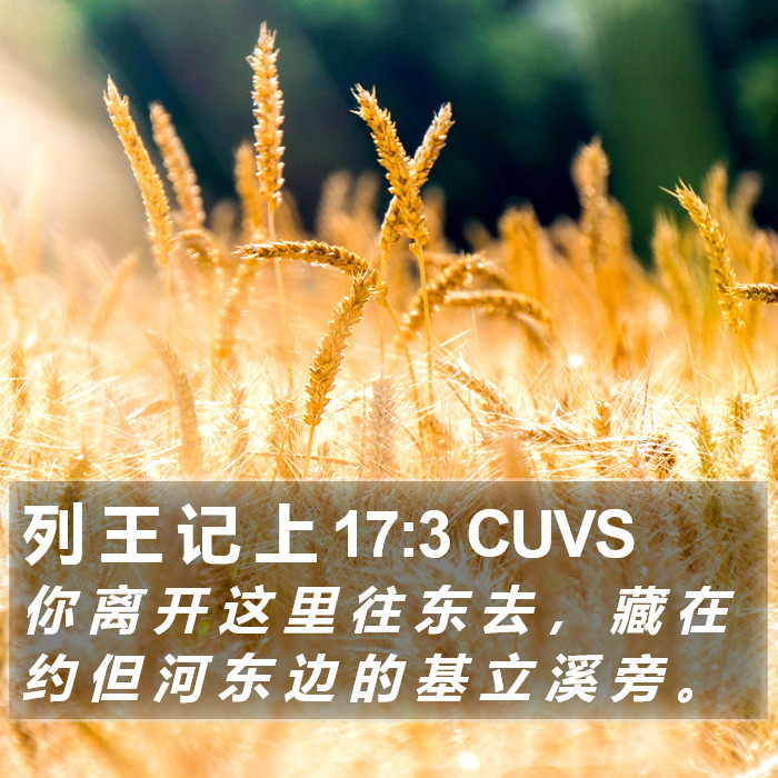 列 王 记 上 17:3 CUVS Bible Study