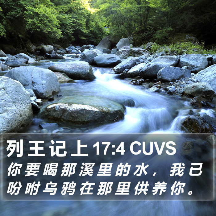 列 王 记 上 17:4 CUVS Bible Study