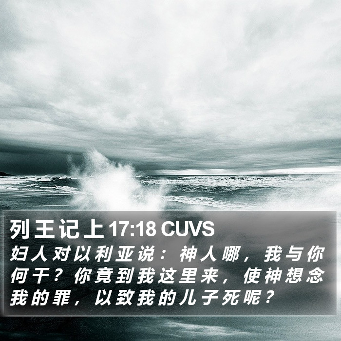 列 王 记 上 17:18 CUVS Bible Study