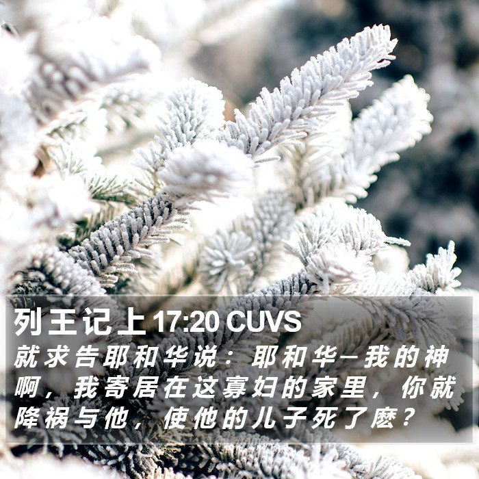 列 王 记 上 17:20 CUVS Bible Study