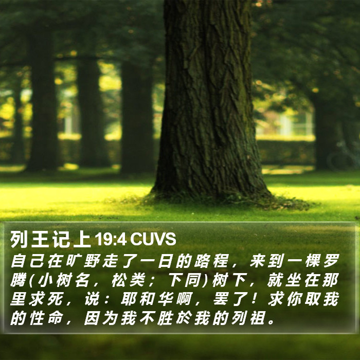 列 王 记 上 19:4 CUVS Bible Study