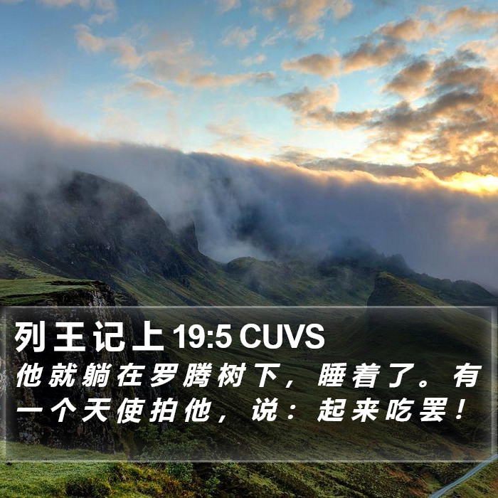 列 王 记 上 19:5 CUVS Bible Study