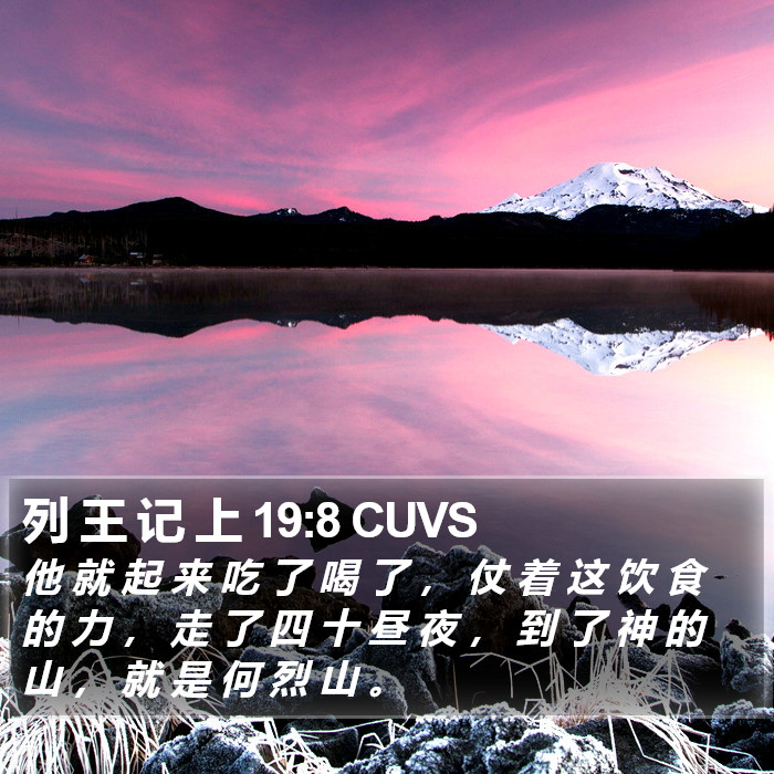 列 王 记 上 19:8 CUVS Bible Study