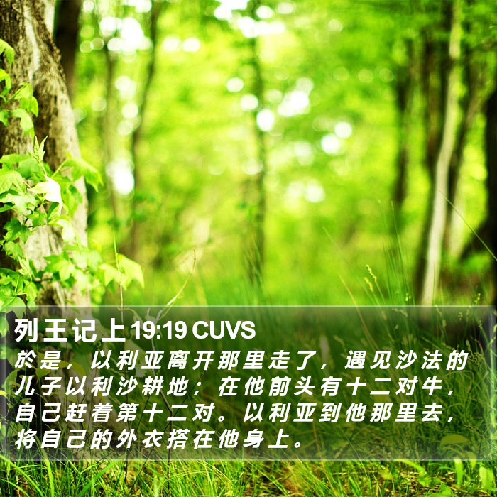 列 王 记 上 19:19 CUVS Bible Study