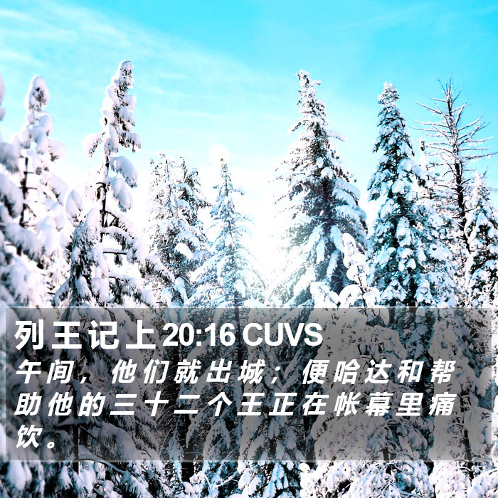 列 王 记 上 20:16 CUVS Bible Study