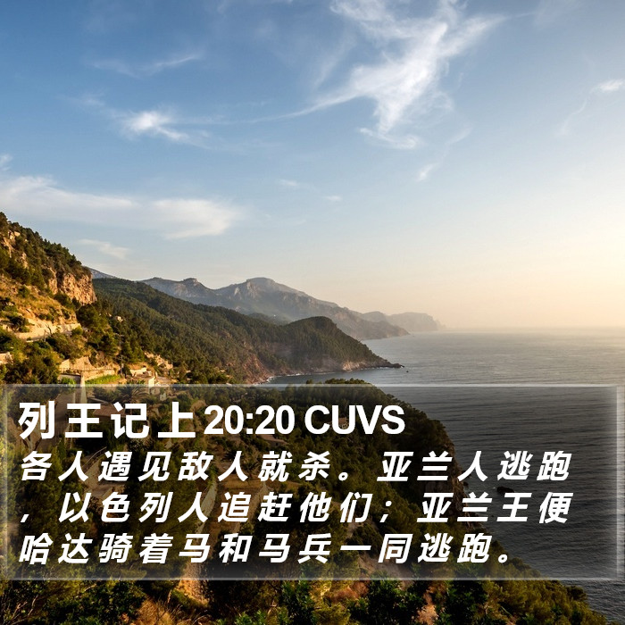 列 王 记 上 20:20 CUVS Bible Study