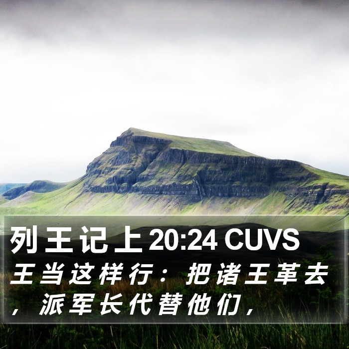 列 王 记 上 20:24 CUVS Bible Study