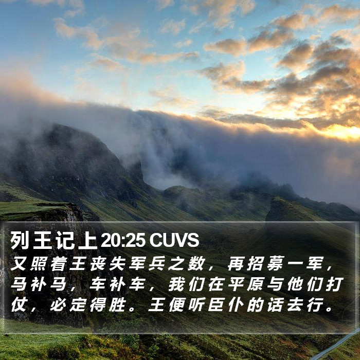 列 王 记 上 20:25 CUVS Bible Study