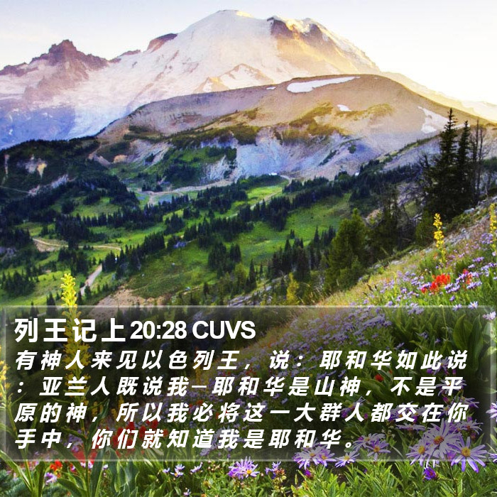 列 王 记 上 20:28 CUVS Bible Study