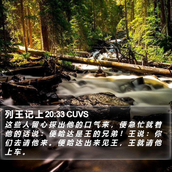 列 王 记 上 20:33 CUVS Bible Study