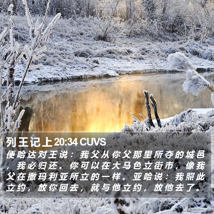 列 王 记 上 20:34 CUVS Bible Study