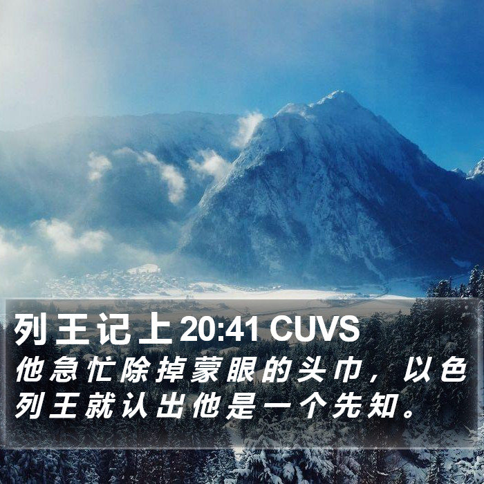 列 王 记 上 20:41 CUVS Bible Study