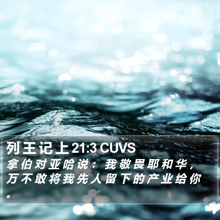 列 王 记 上 21:3 CUVS Bible Study