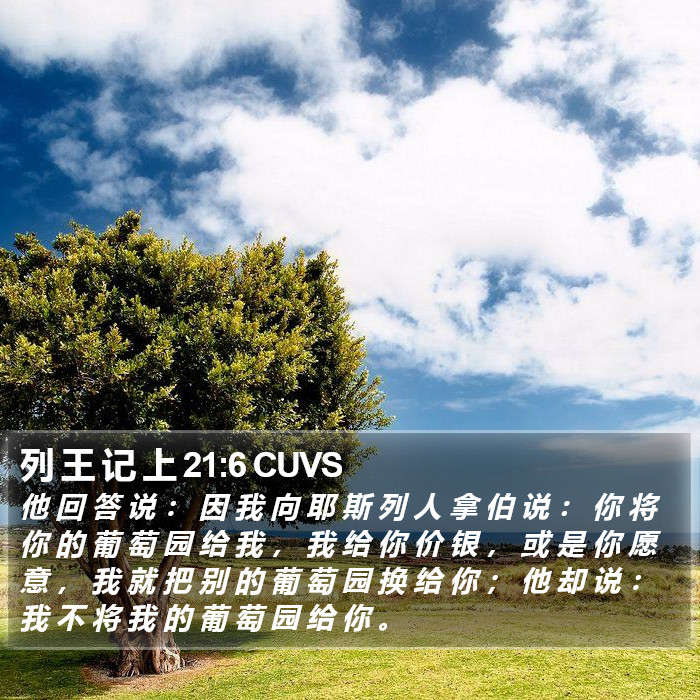 列 王 记 上 21:6 CUVS Bible Study