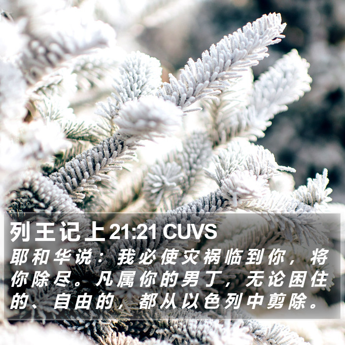 列 王 记 上 21:21 CUVS Bible Study