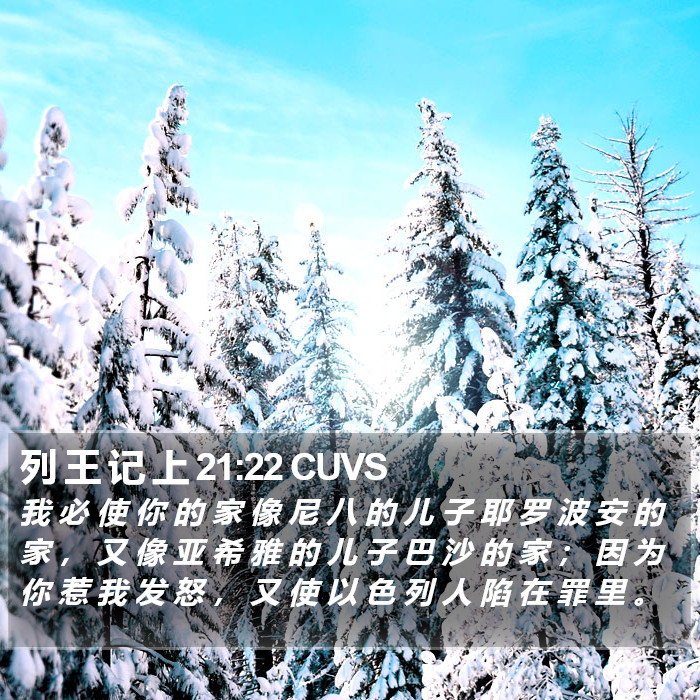 列 王 记 上 21:22 CUVS Bible Study