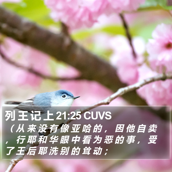 列 王 记 上 21:25 CUVS Bible Study