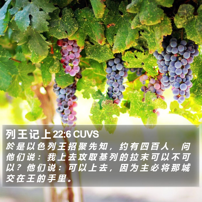 列 王 记 上 22:6 CUVS Bible Study