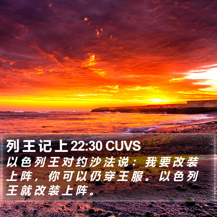 列 王 记 上 22:30 CUVS Bible Study