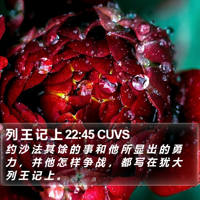 列 王 记 上 22:45 CUVS Bible Study