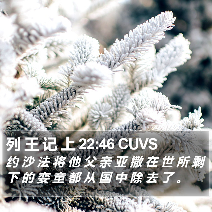 列 王 记 上 22:46 CUVS Bible Study
