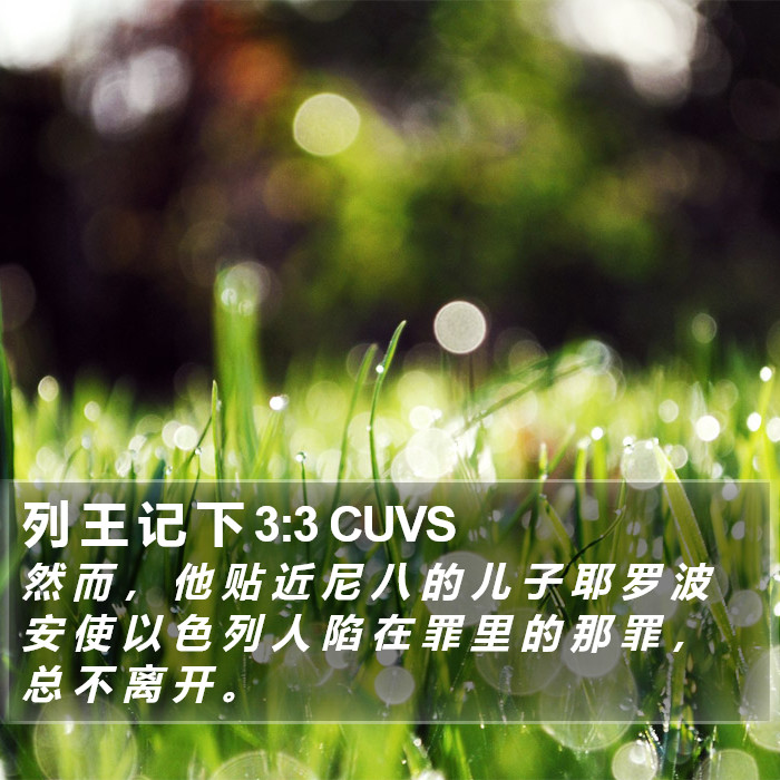 列 王 记 下 3:3 CUVS Bible Study