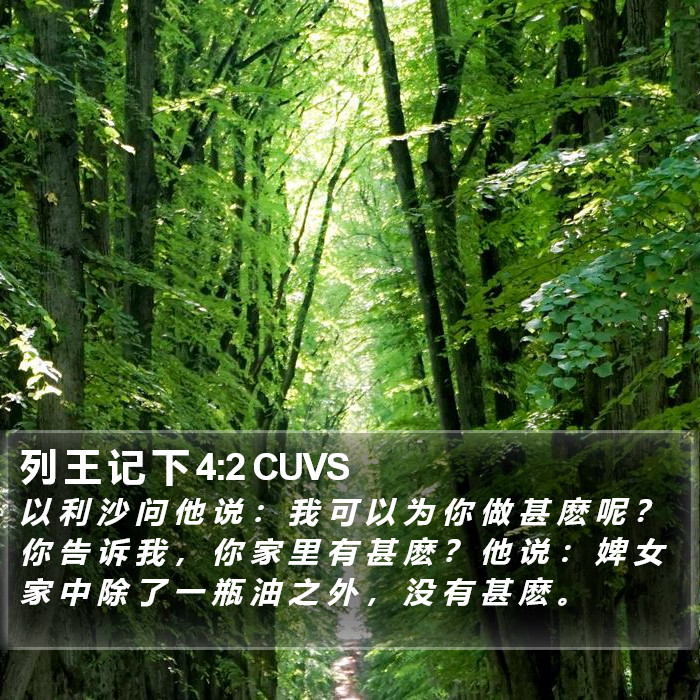 列 王 记 下 4:2 CUVS Bible Study