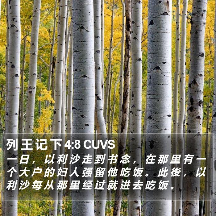 列 王 记 下 4:8 CUVS Bible Study