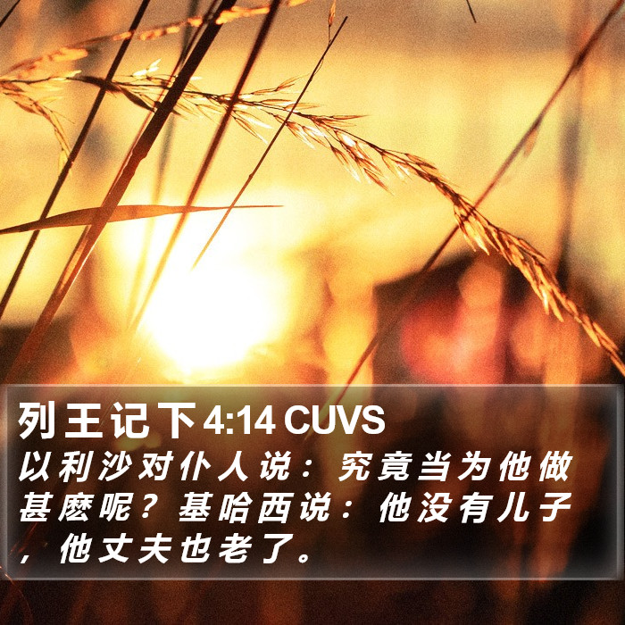 列 王 记 下 4:14 CUVS Bible Study