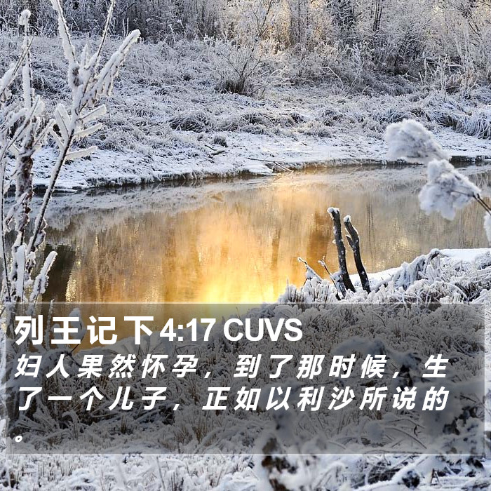 列 王 记 下 4:17 CUVS Bible Study