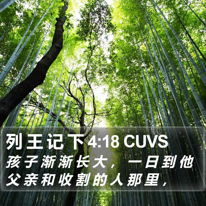 列 王 记 下 4:18 CUVS Bible Study