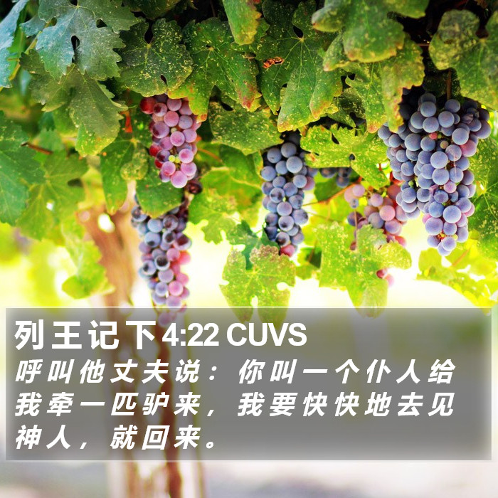 列 王 记 下 4:22 CUVS Bible Study
